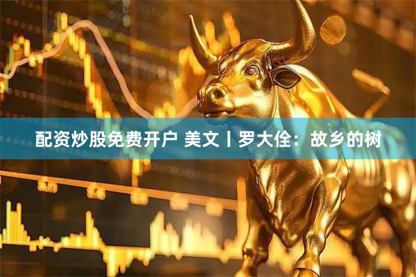 配资炒股免费开户 美文丨罗大佺:故乡的树